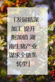 发展精深加工 提升附加值 湖南生猪产业谋求全链条转型
