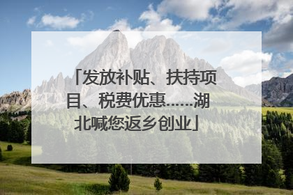 发放补贴、扶持项目、税费优惠……湖北喊您返乡创业