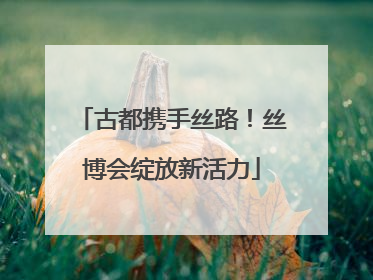 古都携手丝路！丝博会绽放新活力