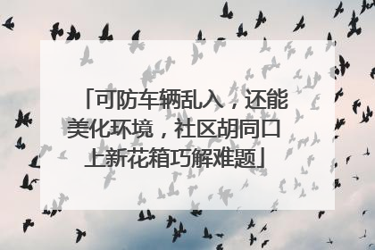 可防车辆乱入，还能美化环境，社区胡同口上新花箱巧解难题