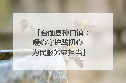 台前县孙口镇：暖心守护践初心 为民服务显担当