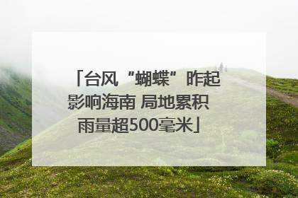 台风“蝴蝶”昨起影响海南 局地累积雨量超500毫米
