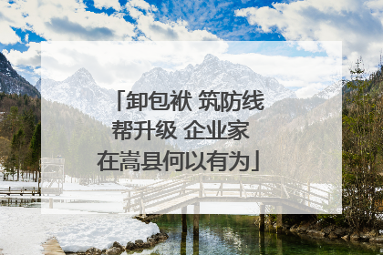 卸包袱 筑防线 帮升级 企业家在嵩县何以有为