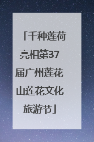 千种莲荷亮相第37届广州莲花山莲花文化旅游节