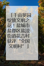 千亩葵园绽放文明之花！盐城市盐都区盐渎街道花吉村获评“全国文明村”