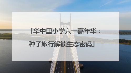 华中里小学六一嘉年华：种子旅行解锁生态密码