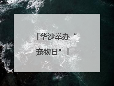 华沙举办“宠物日”
