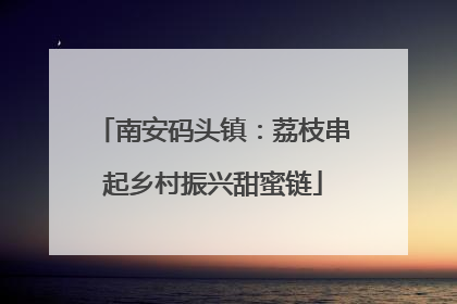 南安码头镇：荔枝串起乡村振兴甜蜜链