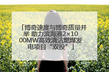 博奇速度与博奇质量并举 助力滨海港2×1000MW高效清洁燃煤发电项目“双投”