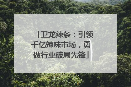 卫龙辣条：引领千亿辣味市场，勇做行业破局先锋