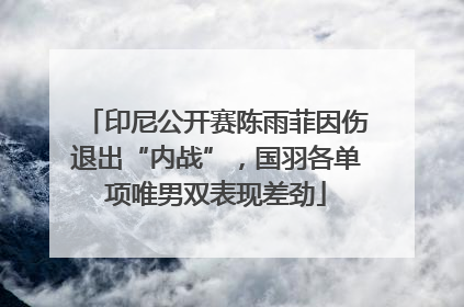 印尼公开赛陈雨菲因伤退出“内战”，国羽各单项唯男双表现差劲