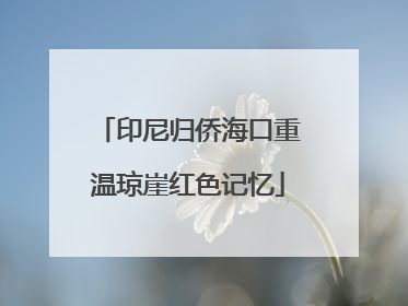 印尼归侨海口重温琼崖红色记忆