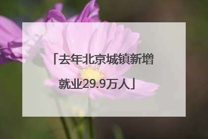 去年北京城镇新增就业29.9万人