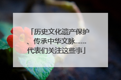 历史文化遗产保护、传承中华文脉……代表们关注这些事