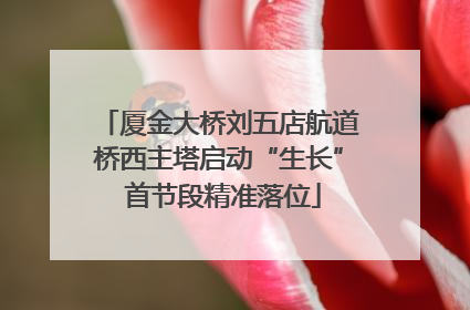 厦金大桥刘五店航道桥西主塔启动“生长” 首节段精准落位