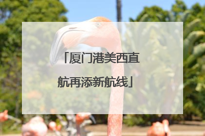 厦门港美西直航再添新航线