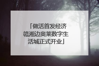 做活首发经济 赣湘边奥莱数字生活城正式开业