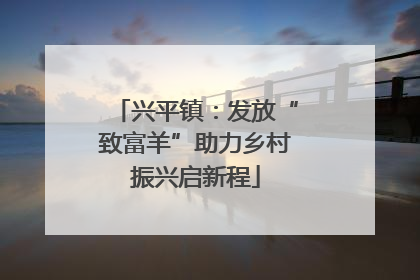 兴平镇：发放“致富羊”助力乡村振兴启新程