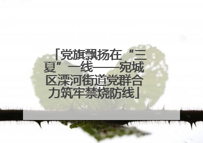 党旗飘扬在“三夏”一线——宛城区溧河街道党群合力筑牢禁烧防线
