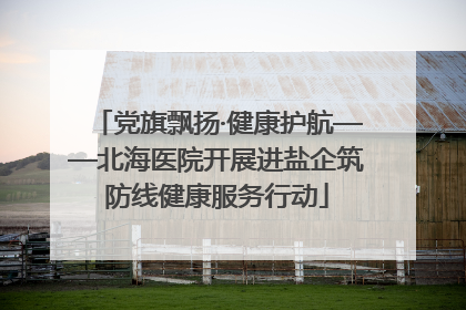 党旗飘扬·健康护航——北海医院开展进盐企筑防线健康服务行动