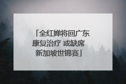 全红婵将回广东康复治疗 或缺席新加坡世锦赛