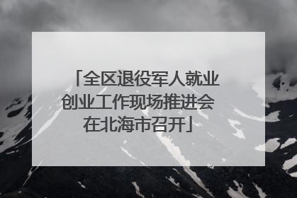 全区退役军人就业创业工作现场推进会在北海市召开