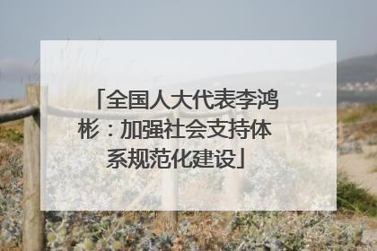 全国人大代表李鸿彬：加强社会支持体系规范化建设