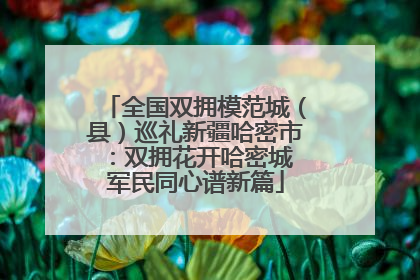 全国双拥模范城（县）巡礼新疆哈密市：双拥花开哈密城 军民同心谱新篇