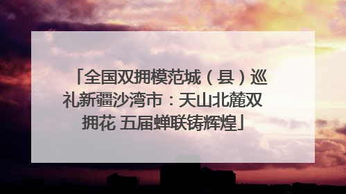 全国双拥模范城（县）巡礼新疆沙湾市：天山北麓双拥花 五届蝉联铸辉煌
