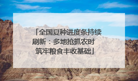 全国夏种进度条持续刷新：多地抢抓农时 筑牢粮食丰收基础