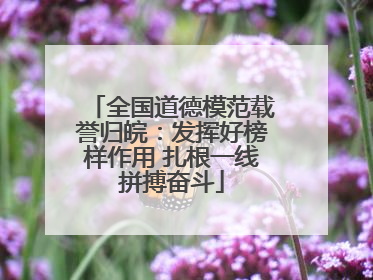 全国道德模范载誉归皖：发挥好榜样作用 扎根一线拼搏奋斗