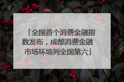 全国首个消费金融指数发布，成都消费金融市场环境列全国第六