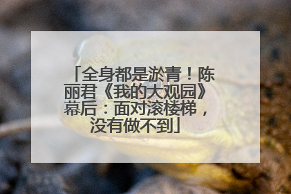 全身都是淤青！陈丽君《我的大观园》幕后：面对滚楼梯，没有做不到