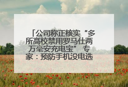 公司称正核实“多所高校禁用罗马仕两万毫安充电宝” 专家：预防手机没电选中等体积产品即可