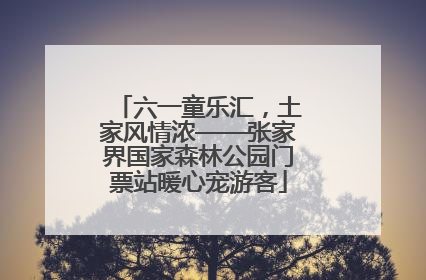 六一童乐汇，土家风情浓——张家界国家森林公园门票站暖心宠游客