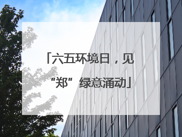 六五环境日，见“郑”绿意涌动