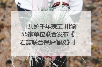 共护千年瑰宝 川渝55家单位联合发布《石窟联合保护倡议》