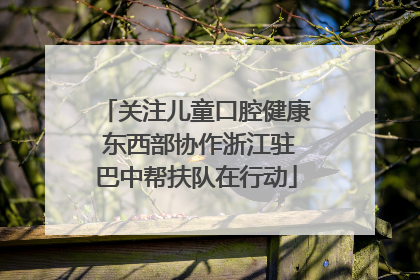 关注儿童口腔健康 东西部协作浙江驻巴中帮扶队在行动