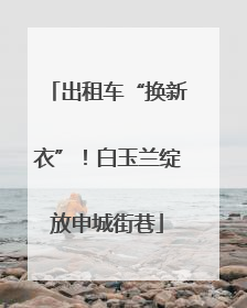 出租车“换新衣”！白玉兰绽放申城街巷