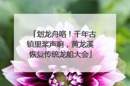 划龙舟咯！千年古镇里桨声响，黄龙溪恢复传统龙船大会