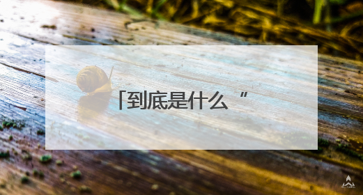 到底是什么“武功秘籍”让他们都说好？