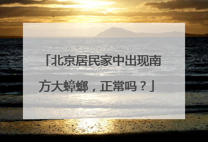 北京居民家中出现南方大蟑螂，正常吗？