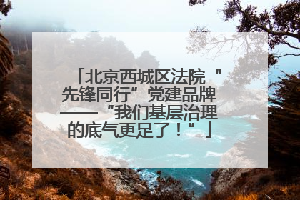 北京西城区法院“先锋同行”党建品牌——“我们基层治理的底气更足了！”