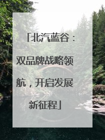 北汽蓝谷：双品牌战略领航，开启发展新征程