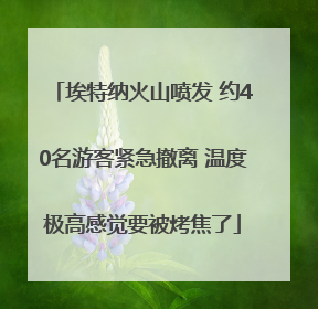 埃特纳火山喷发 约40名游客紧急撤离 温度极高感觉要被烤焦了
