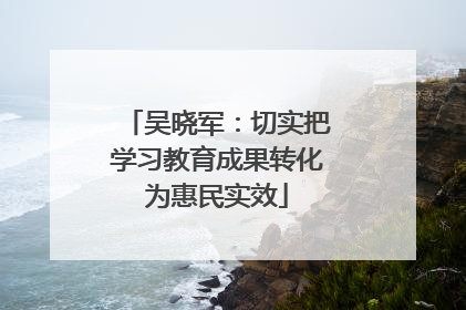 吴晓军：切实把学习教育成果转化为惠民实效