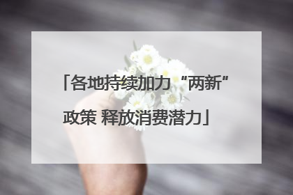 各地持续加力“两新”政策 释放消费潜力