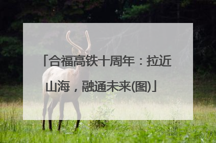 合福高铁十周年：拉近山海，融通未来(图)