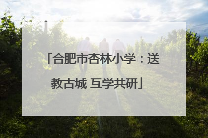 合肥市杏林小学：送教古城 互学共研