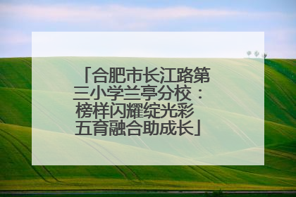 合肥市长江路第三小学兰亭分校：榜样闪耀绽光彩 五育融合助成长